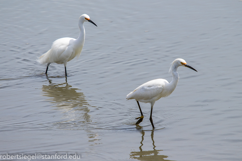 baylands